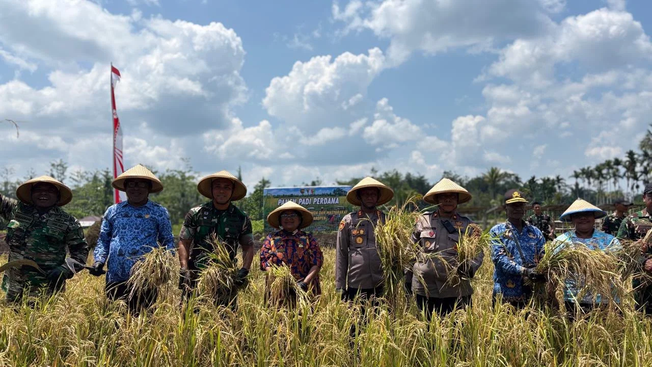 Panen Raya Padi dan Ikan Lele Yonif TP 860/NSK, Dukung Ketahanan Pangan Waropen