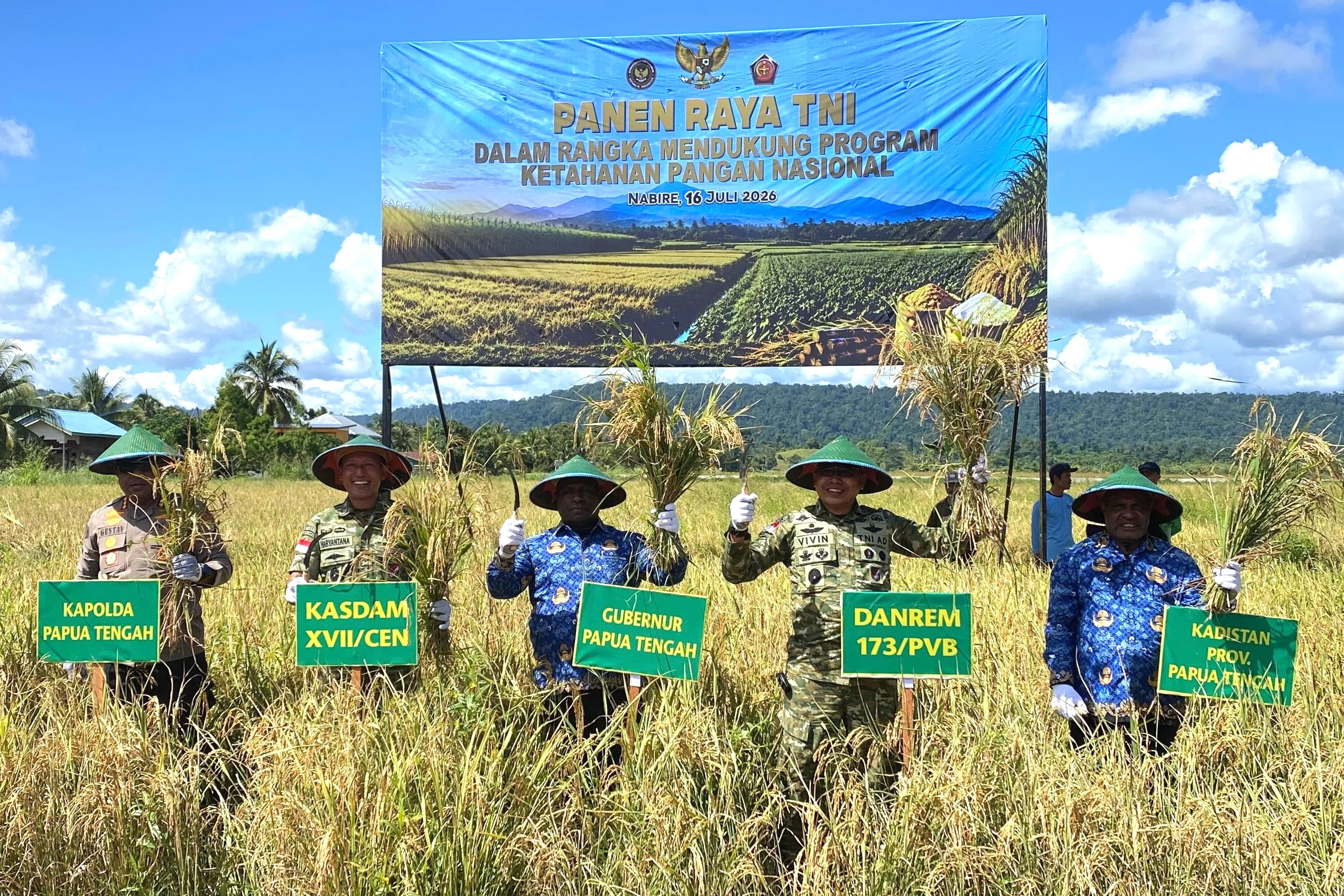 Sinergi TNI dan Petani Warnai Panen Raya Padi di Nabire, Dorong Swasembada Pangan