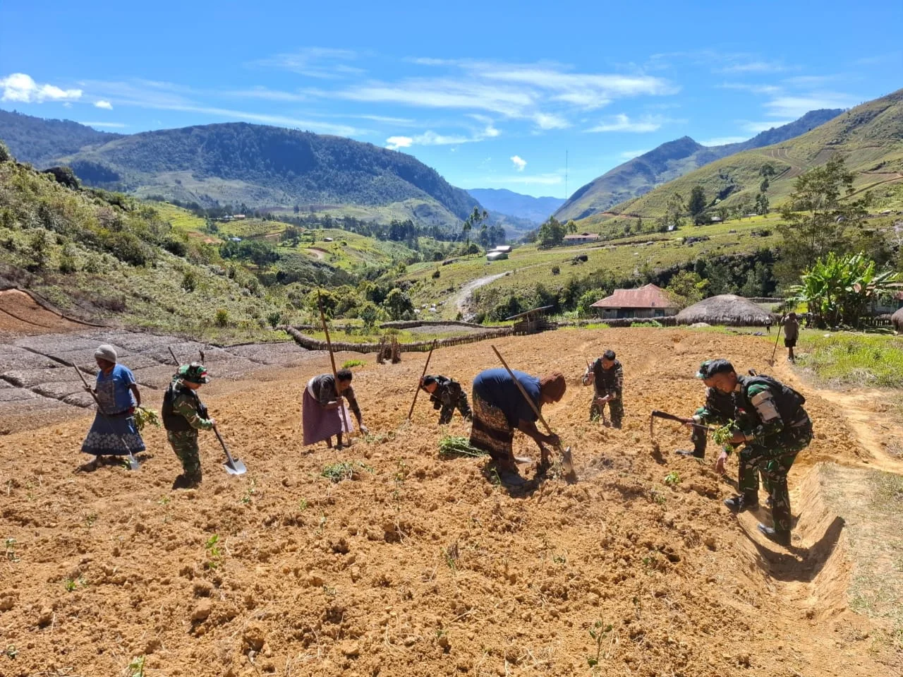 Satgas Yonif 511/DY Bantu Warga Berkebun dan Bersihkan Kampung Lowanom, Pererat Kemanunggalan TNI dengan Rakyat