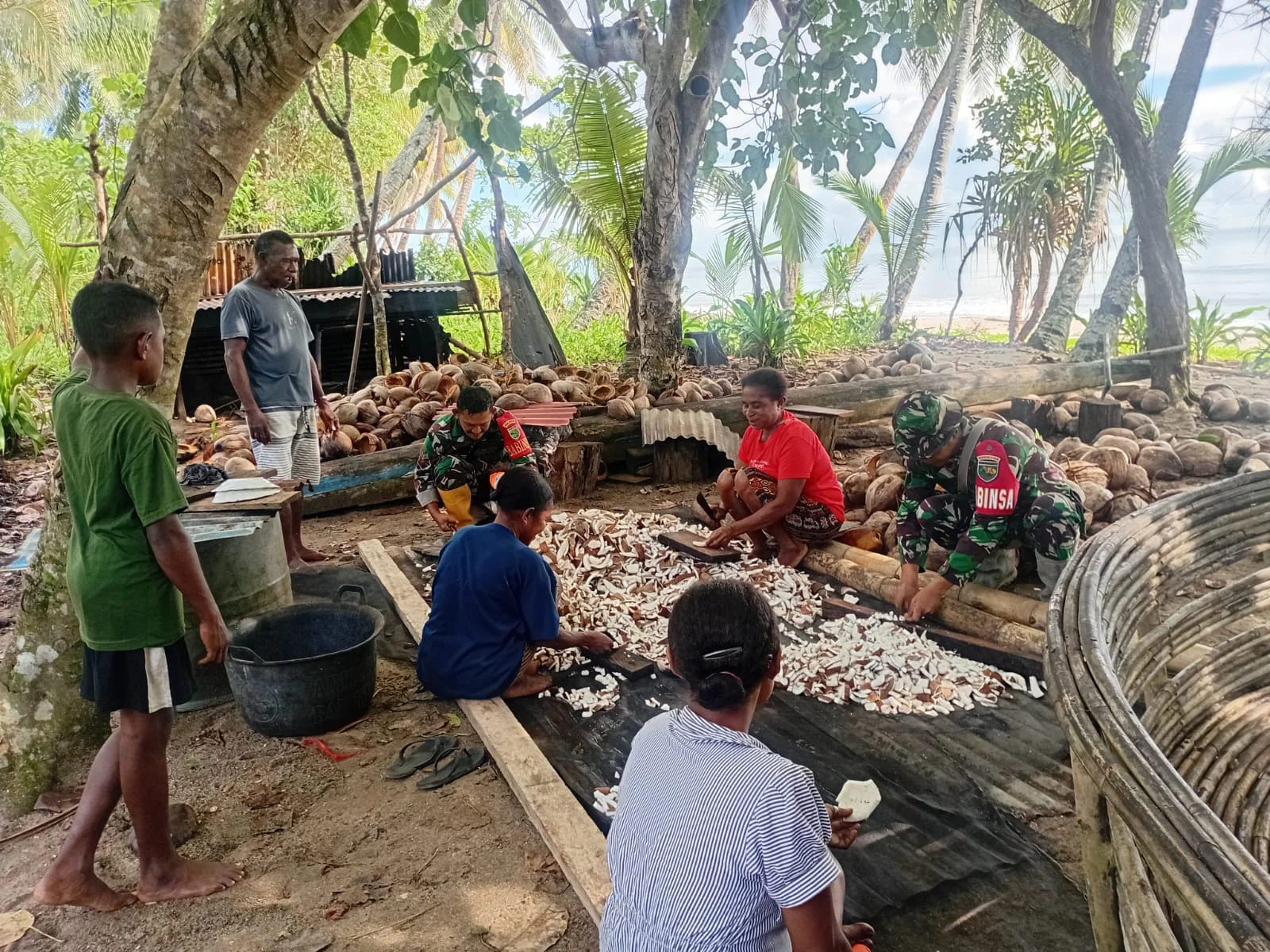 Babinsa Dawai Turun Tangan Bantu Produksi Kopra, Semangat Petani Kelapa Kampung Woda Kian Menguat