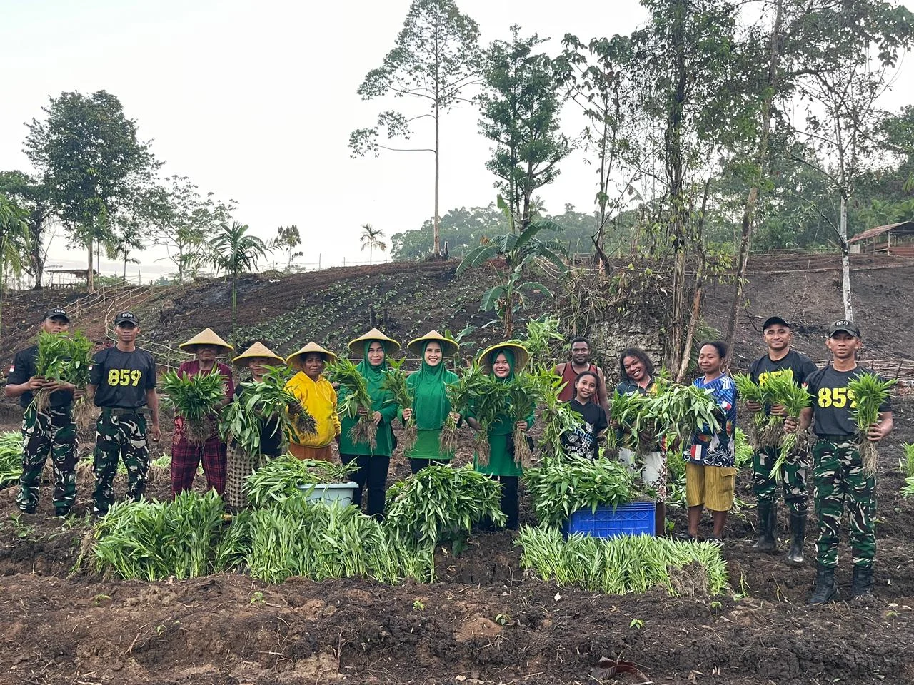Dari Kebun ke Dapur Warga, Yonif TP 859/RBK Panen Bersama Masyarakat Supiori
